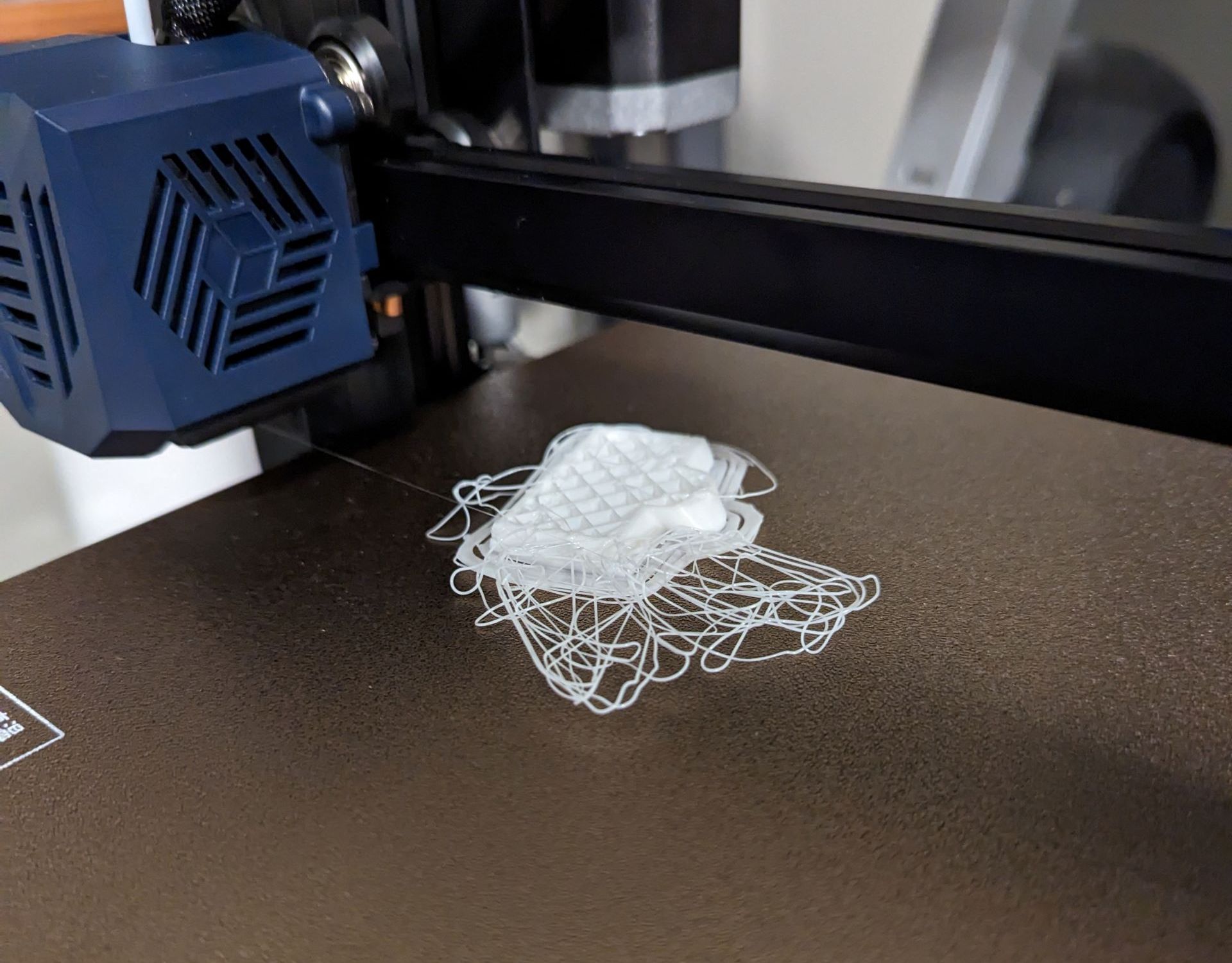 Printing some spaghetti